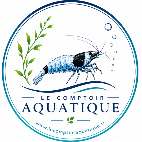 Le comptoir aquatique